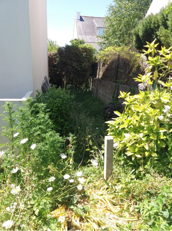 Antho Services Paysagiste Landivisiau Entretion Jardins