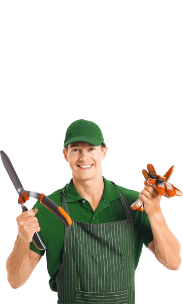 Antho Services Paysagiste Landivisiau Bfr 4