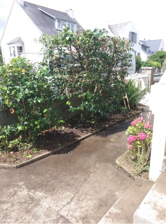 Antho Services Paysagiste Landivisiau Creation Paysage